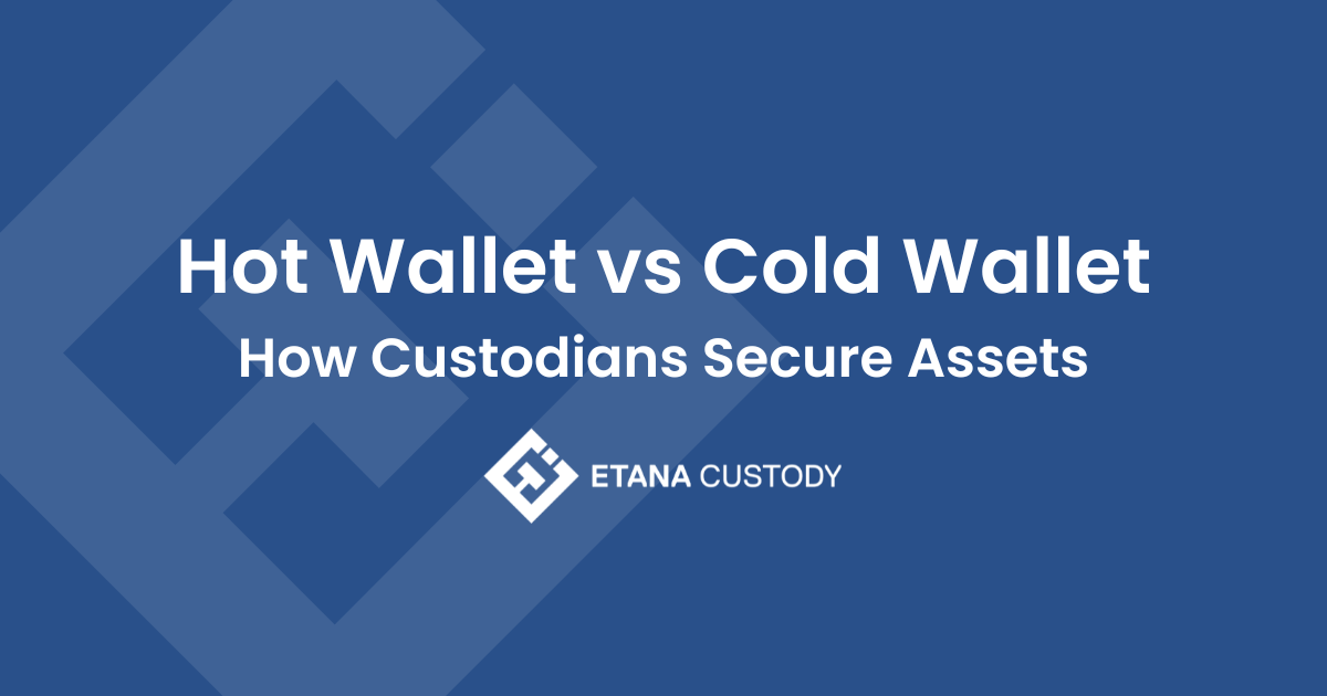Hot Wallet vs Cold Wallet; How Custodians Secure Assets